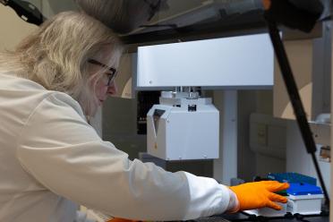 Scientist wearing orange safety glove handles a 96 well-plate