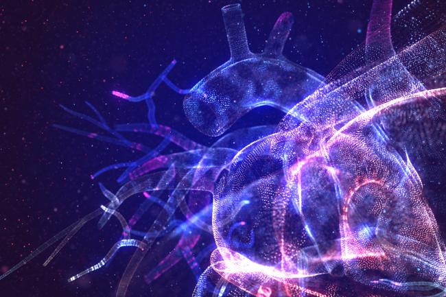 Glowing human heart made of neon particles