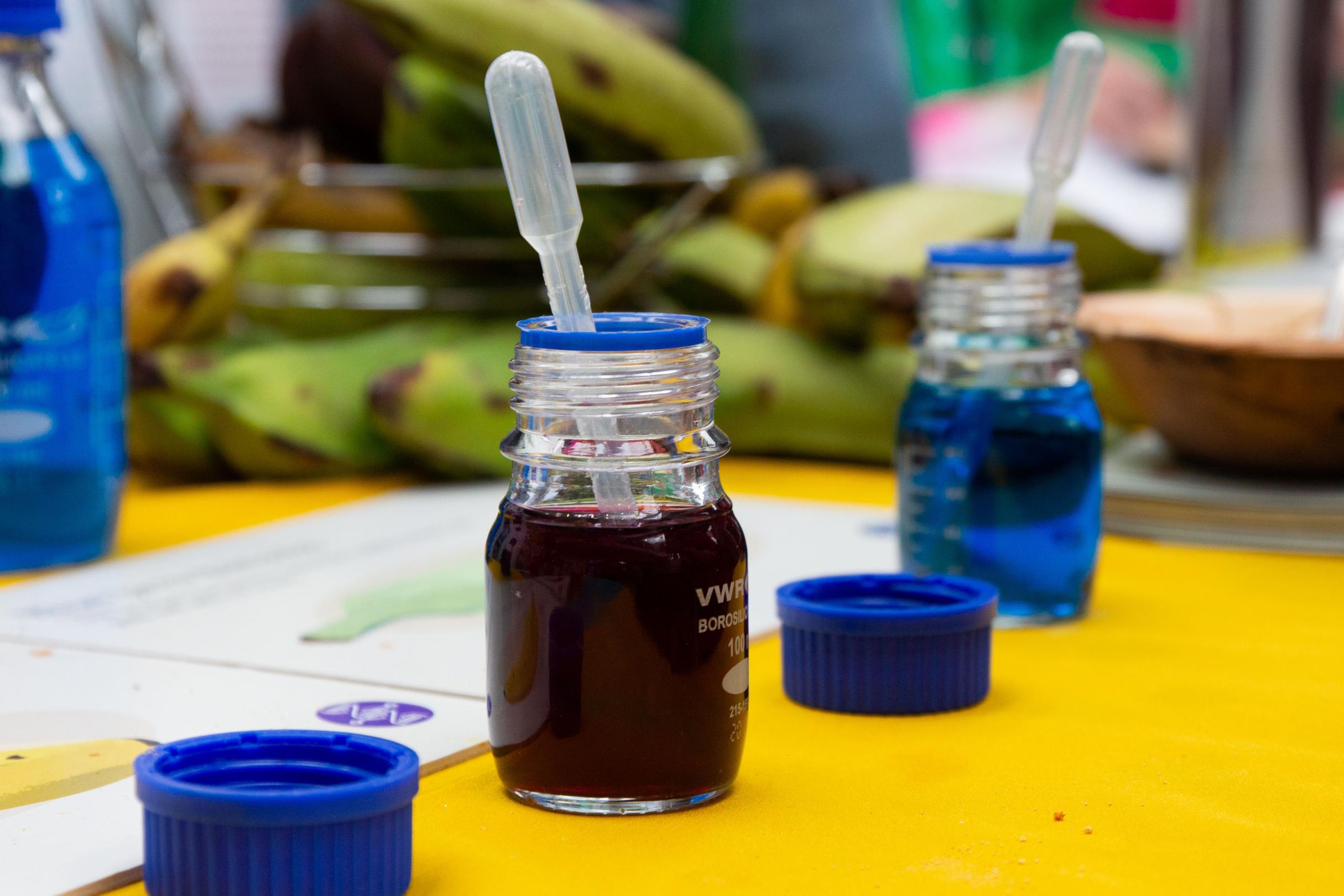 Scientific jars with colourful liquids in 