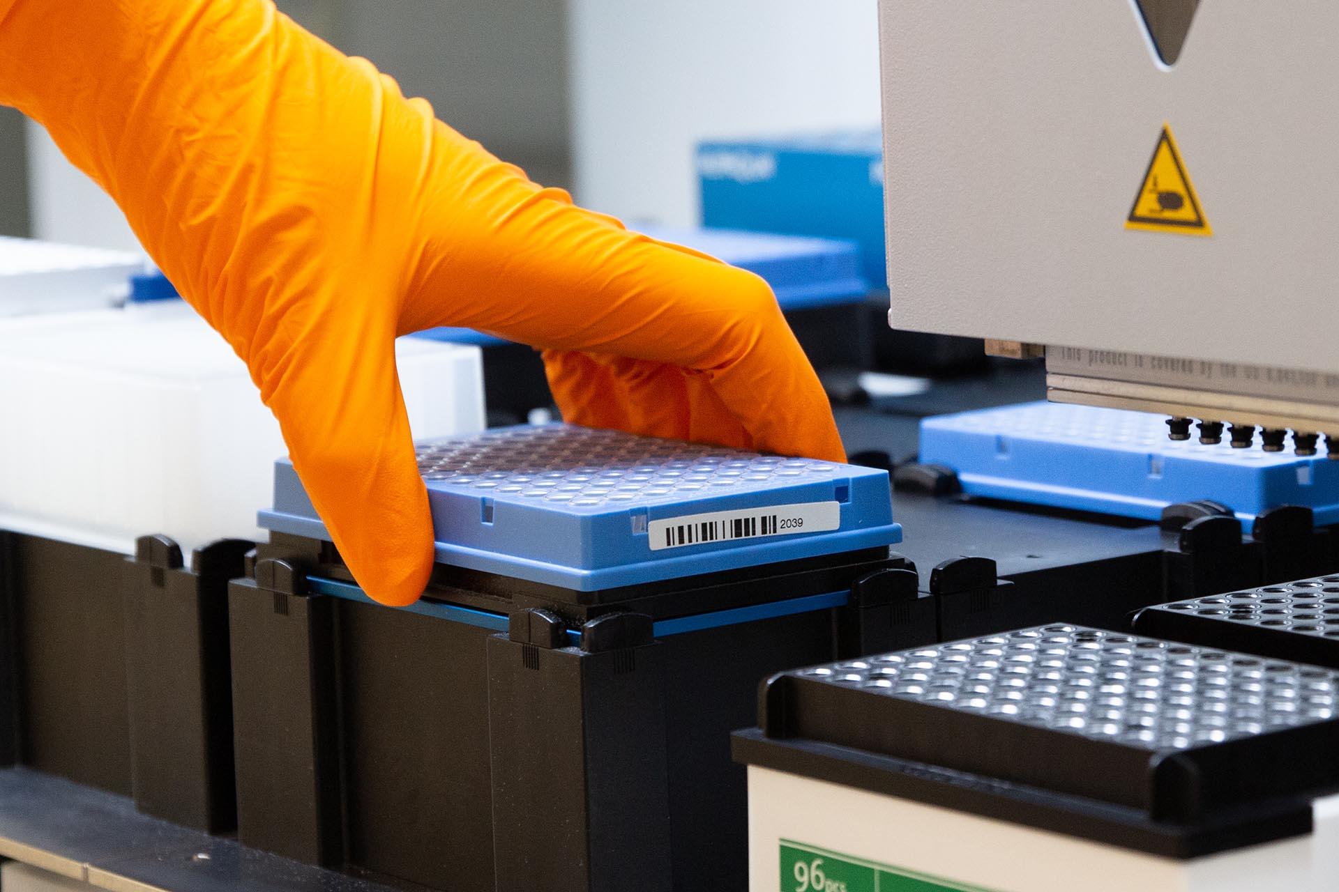 Scientist wearing orange safety glove handles a 96 well-plate