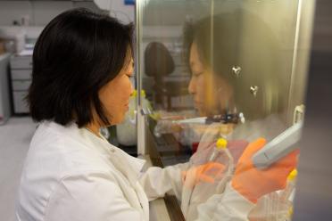 Dr Angela Man in the labs at the Earlham Institute.