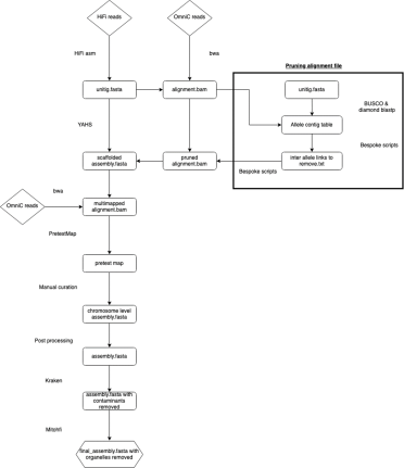 Overview of pipeline flowchart