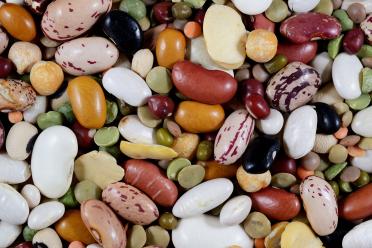 A mix of dried legumes - beans, peas, lentils