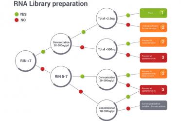 Rna decision tree 2 770