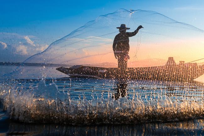 Palmyra's Fishing for Science Program Tags 1,000th Fish