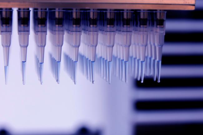 Close up of pipette heads on an automated liquid handling machine